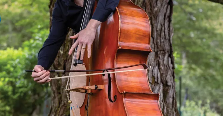 Man playing double bass in a park by a large tree.