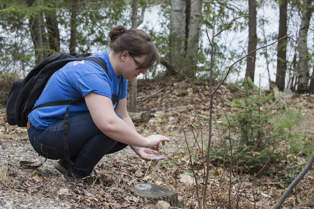 Female student crouching in a forest, collecting a plant sample.