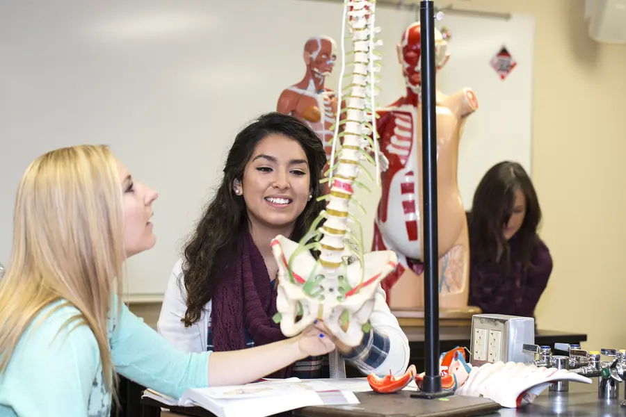 Anatomy students in lab examining a spine model in a classroom setting.