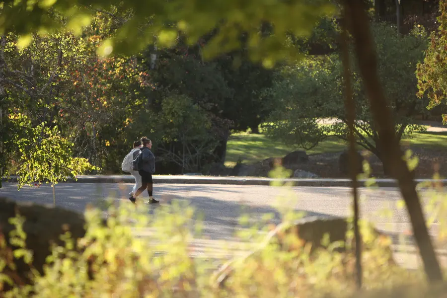 Students walking on campus